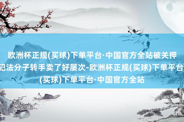 欧洲杯正规(买球)下单平台·中国官方全站被关押的皮皮被那些犯法分子转手卖了好屡次-欧洲杯正规(买球)下单平台·中国官方全站