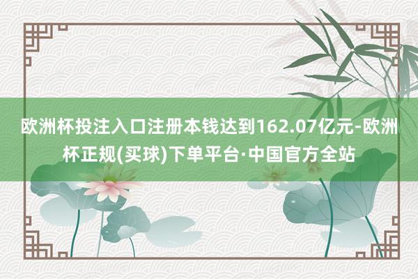 欧洲杯投注入口注册本钱达到162.07亿元-欧洲杯正规(买球)下单平台·中国官方全站