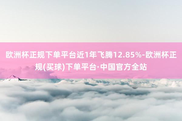 欧洲杯正规下单平台近1年飞腾12.85%-欧洲杯正规(买球)下单平台·中国官方全站